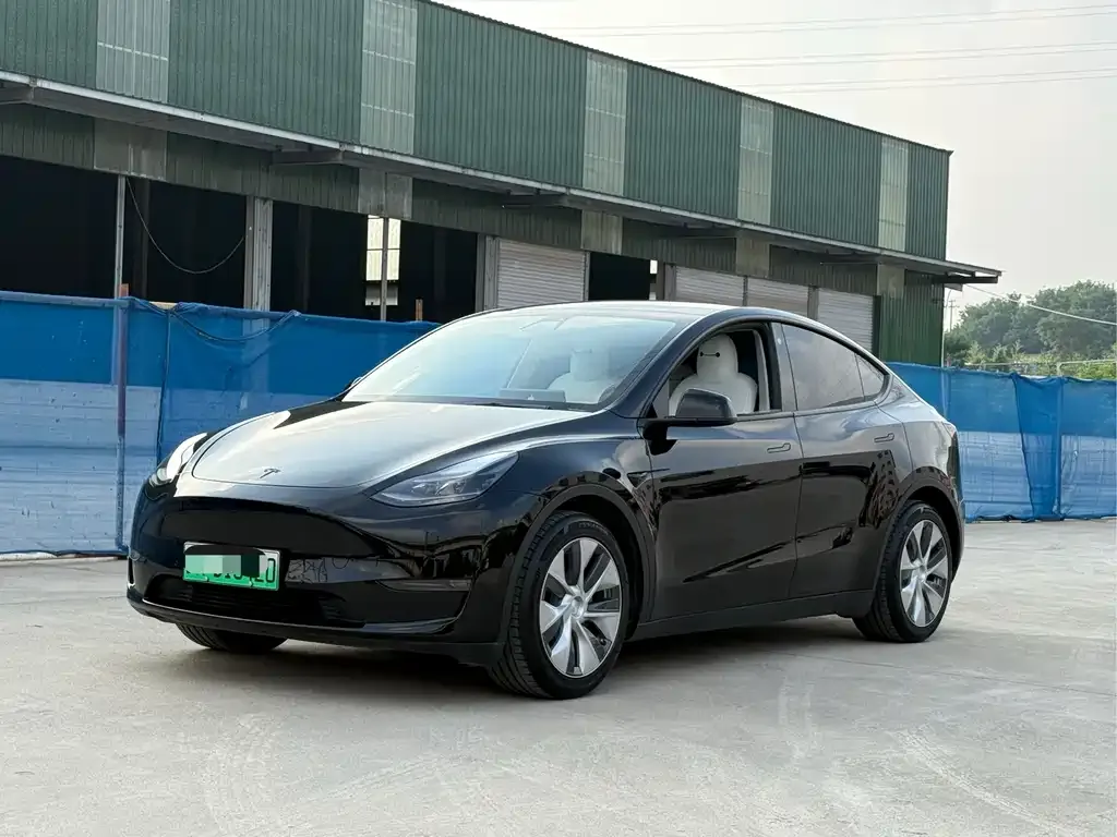 Tesla Model Y 2021 из CN, фото 1