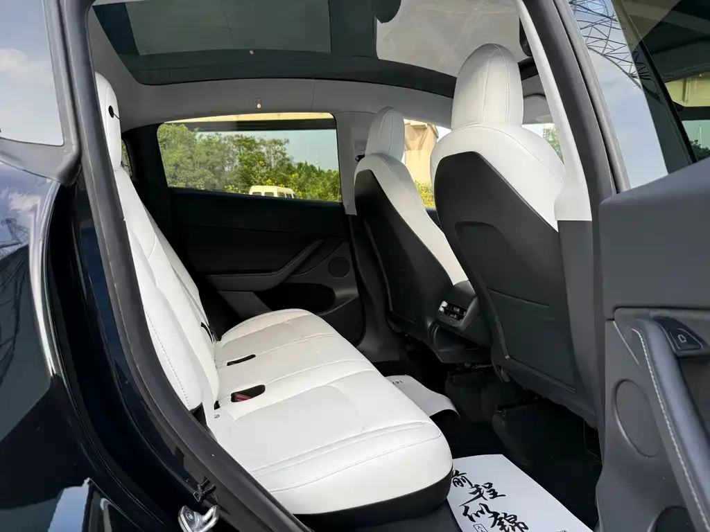 Tesla Model Y 2021 из CN, фото 10