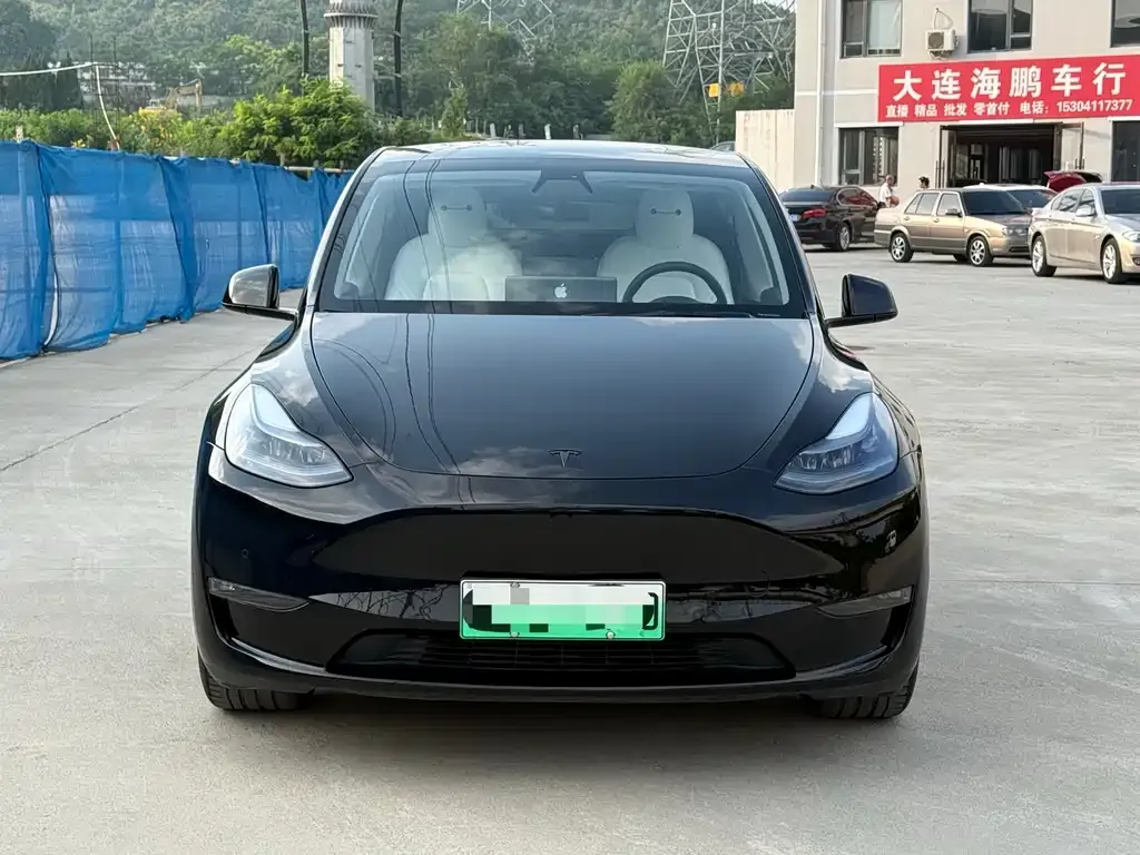 Tesla Model Y 2021 из CN, фото 2