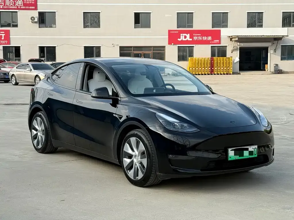 Tesla Model Y 2021 из CN, фото 3