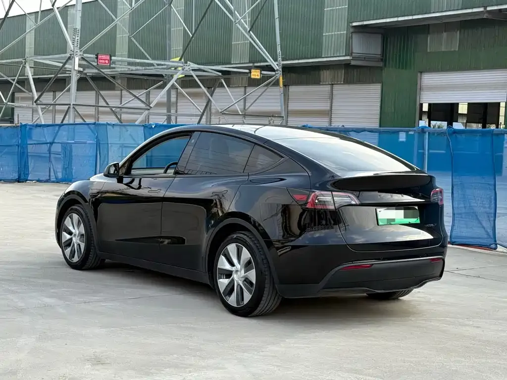 Tesla Model Y 2021 из CN, фото 4