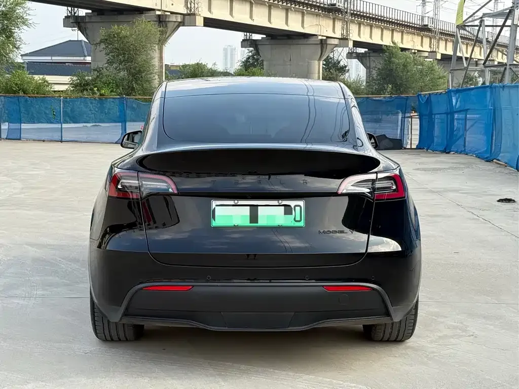 Tesla Model Y 2021 из CN, фото 5