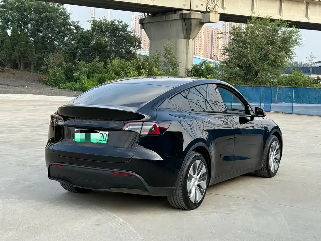 Tesla Model Y 2021 из CN, фото 6