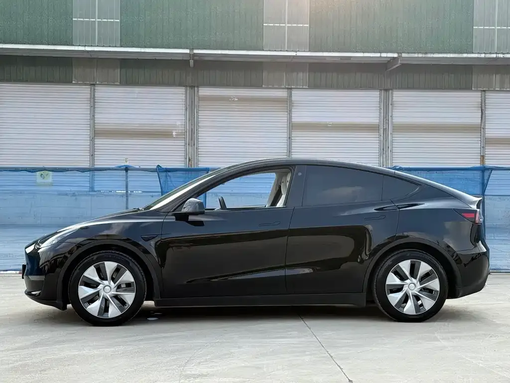 Tesla Model Y 2021 из CN, фото 7