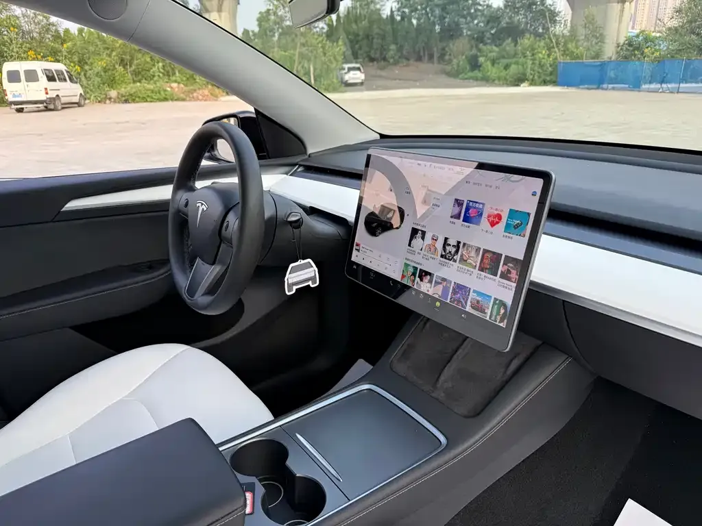 Tesla Model Y 2021 из CN, фото 8
