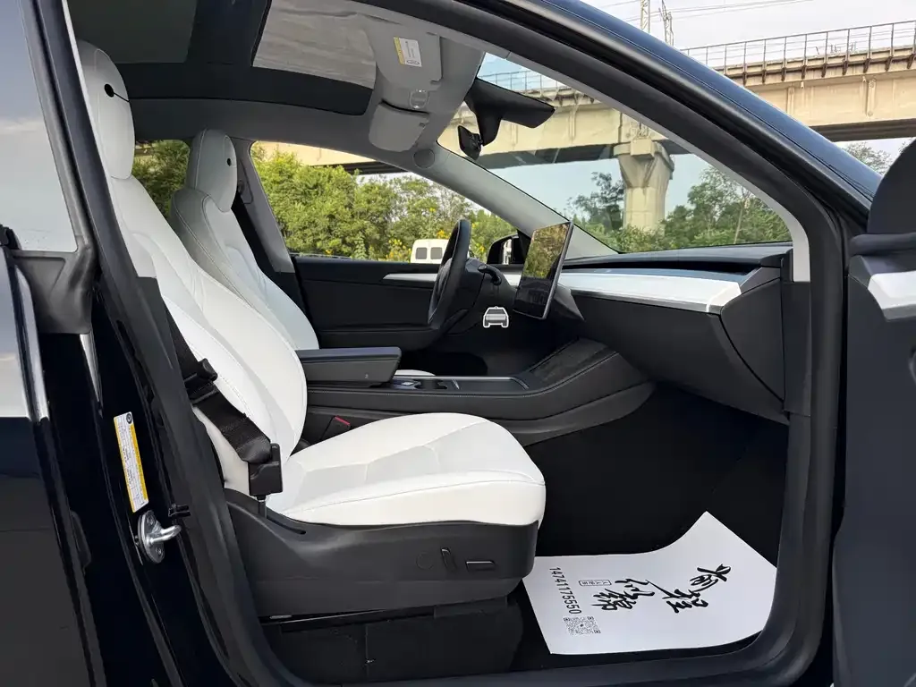 Tesla Model Y 2021 из CN, фото 9