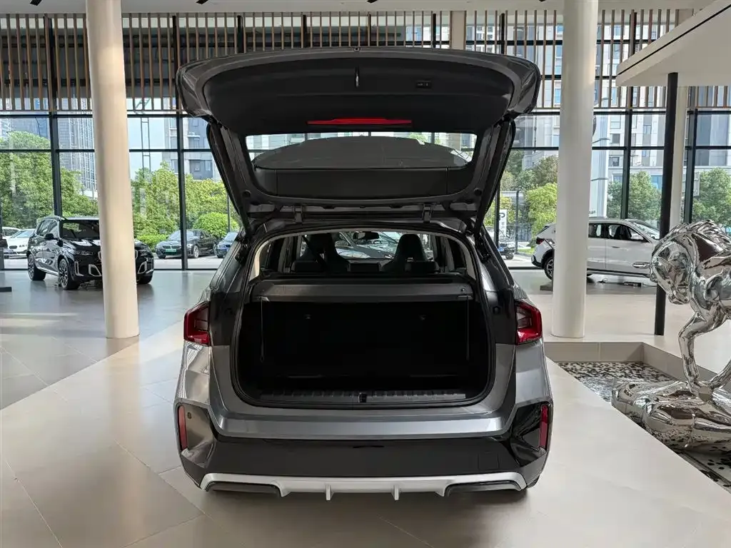 BMW X1 2024 из CN, фото 5