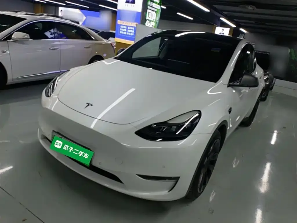Tesla Model Y 2021 из CN, фото 2