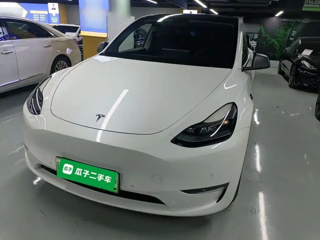 Tesla Model Y 2021 из CN, фото 3