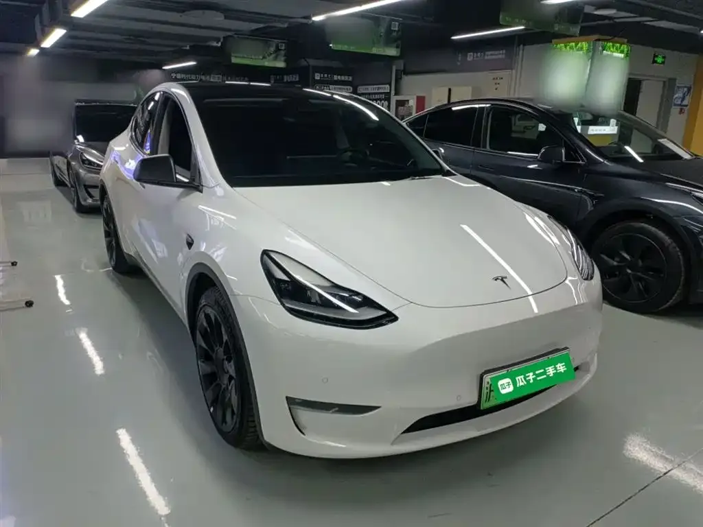 Tesla Model Y 2021 из CN, фото 4