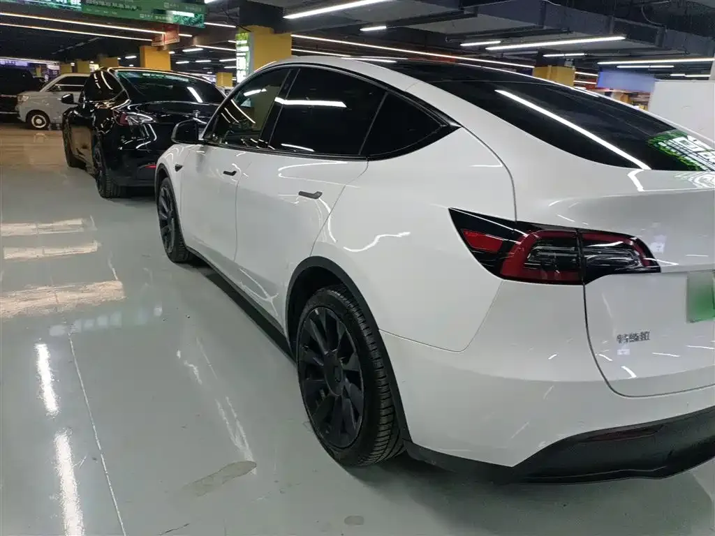 Tesla Model Y 2021 из CN, фото 5