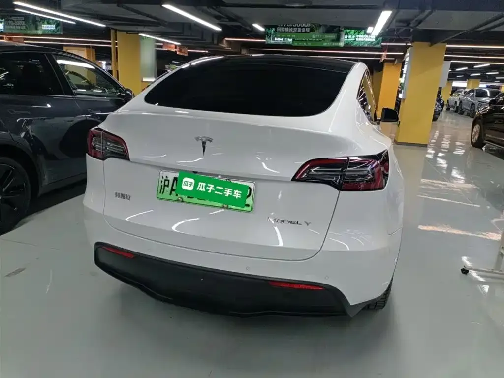 Tesla Model Y 2021 из CN, фото 6