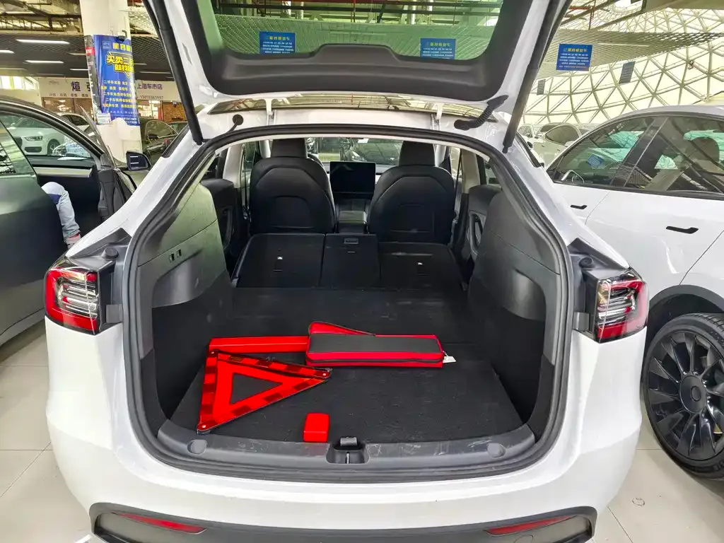 Tesla Model Y 2024 из CN, фото 9
