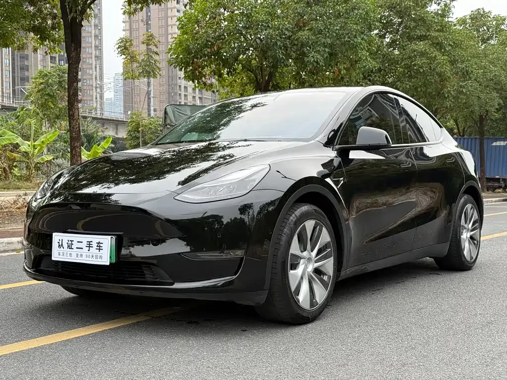 Tesla Model Y 2021 из CN, фото 1