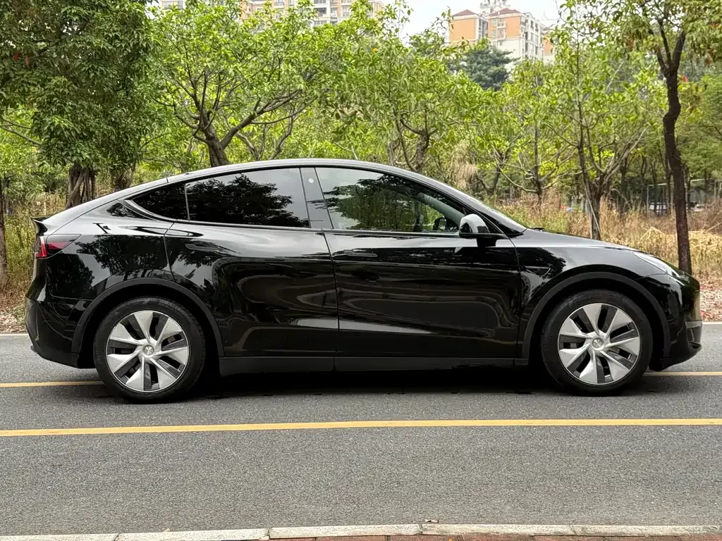 Tesla Model Y 2021 из CN, фото 10