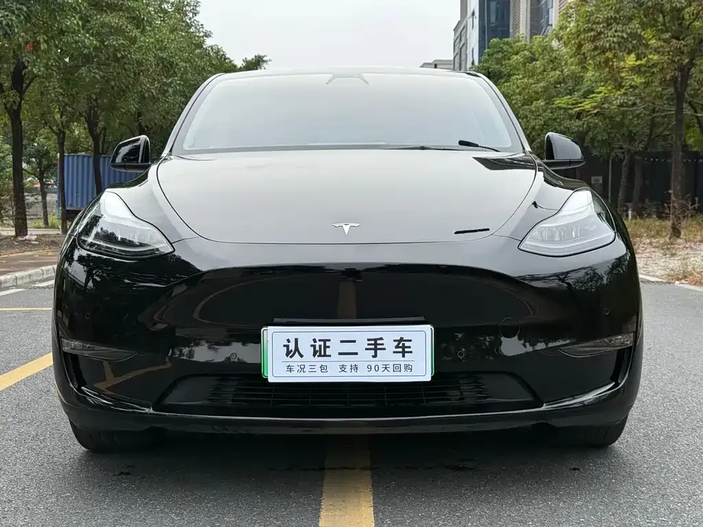 Tesla Model Y 2021 из CN, фото 2