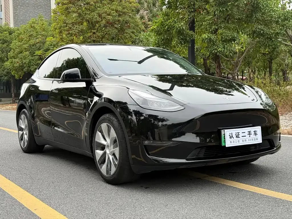 Tesla Model Y 2021 из CN, фото 3