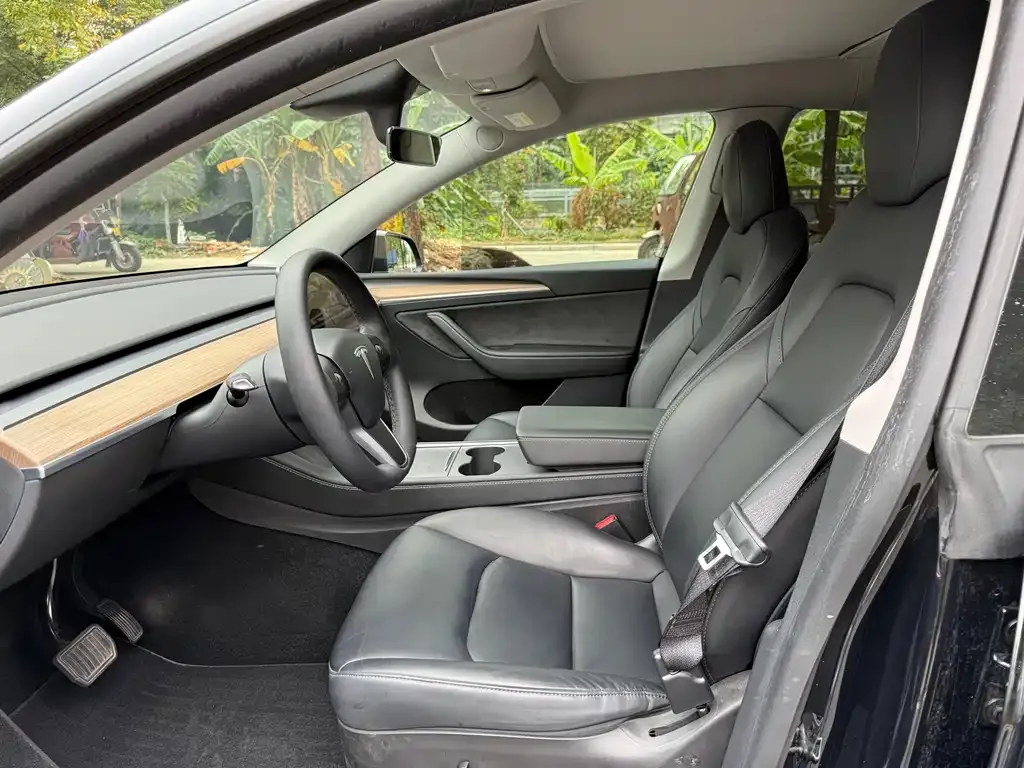 Tesla Model Y 2021 из CN, фото 4