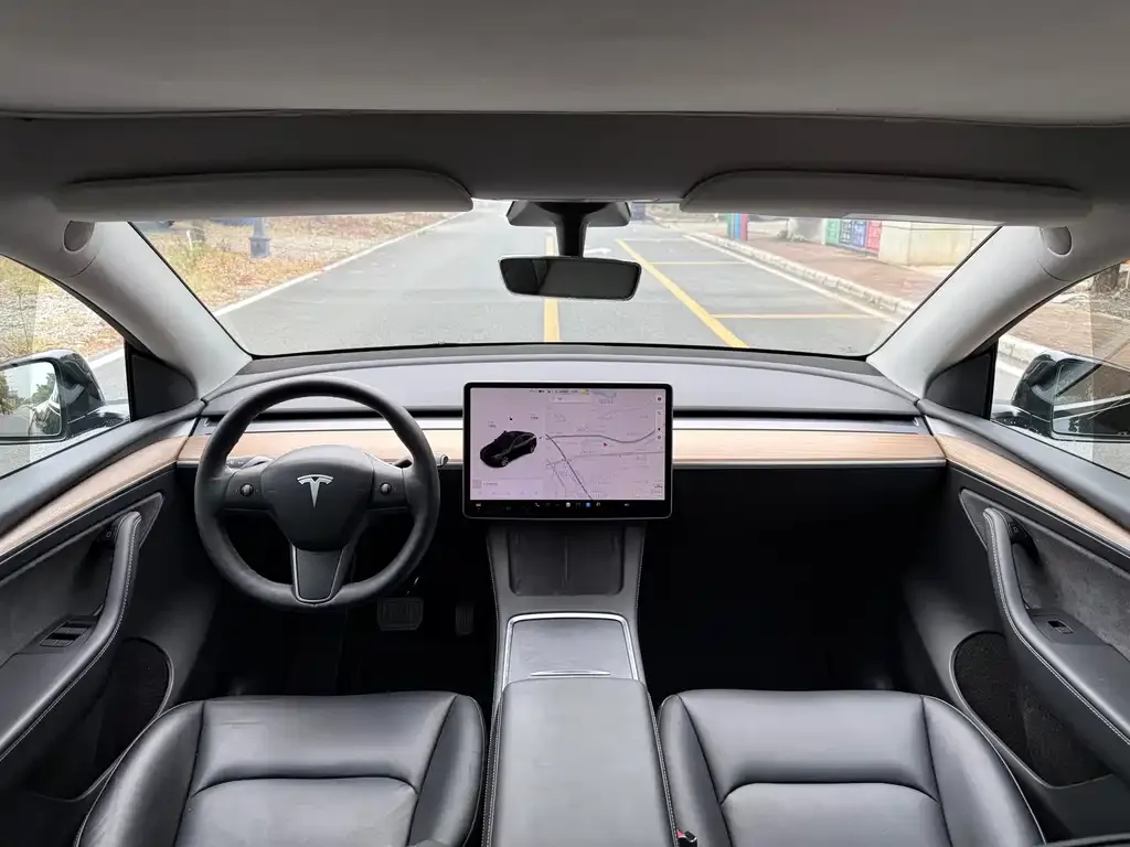 Tesla Model Y 2021 из CN, фото 5