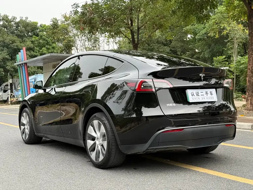 Tesla Model Y 2021 из CN, фото 7