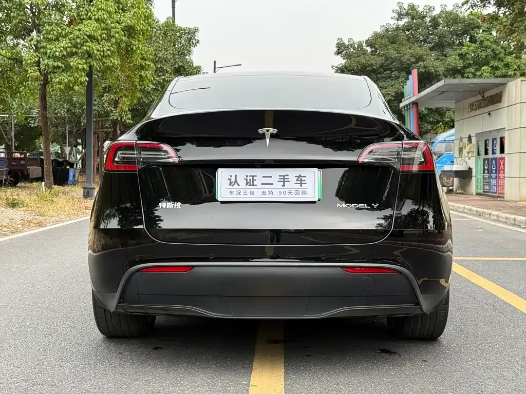 Tesla Model Y 2021 из CN, фото 8