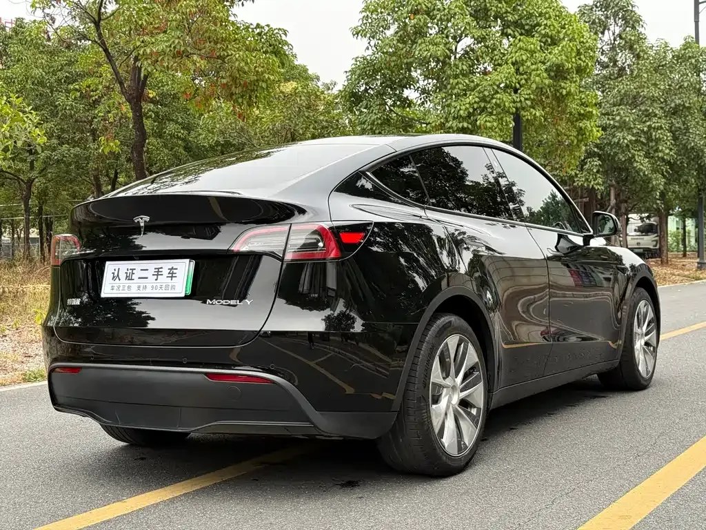 Tesla Model Y 2021 из CN, фото 9
