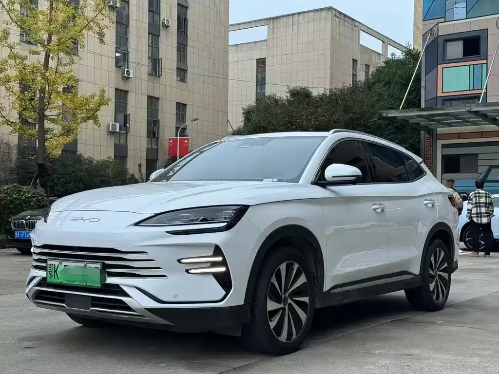 BYD PLUS New Energy 2024 из CN, фото 1