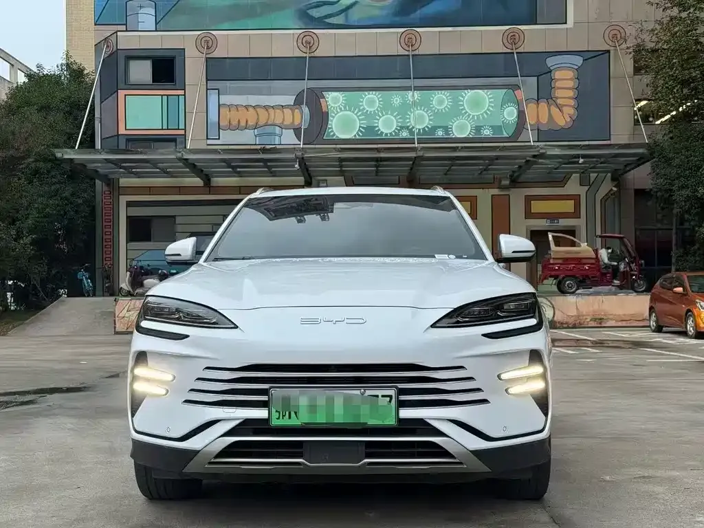 BYD PLUS New Energy 2024 из CN, фото 2