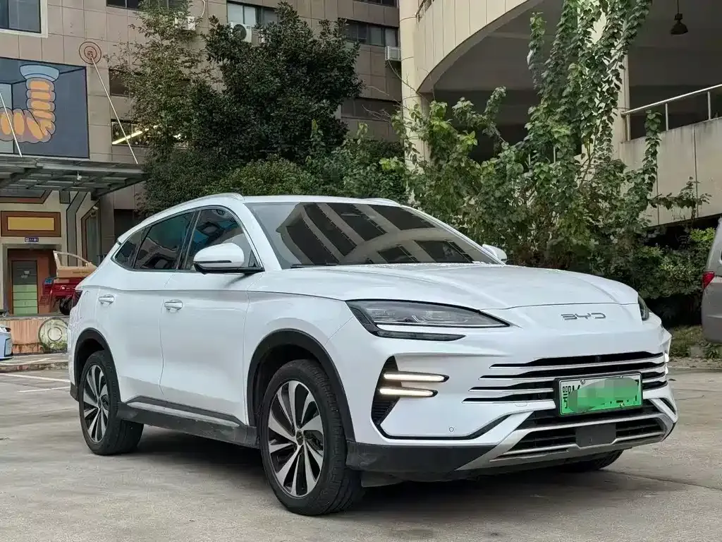 BYD PLUS New Energy 2024 из CN, фото 3