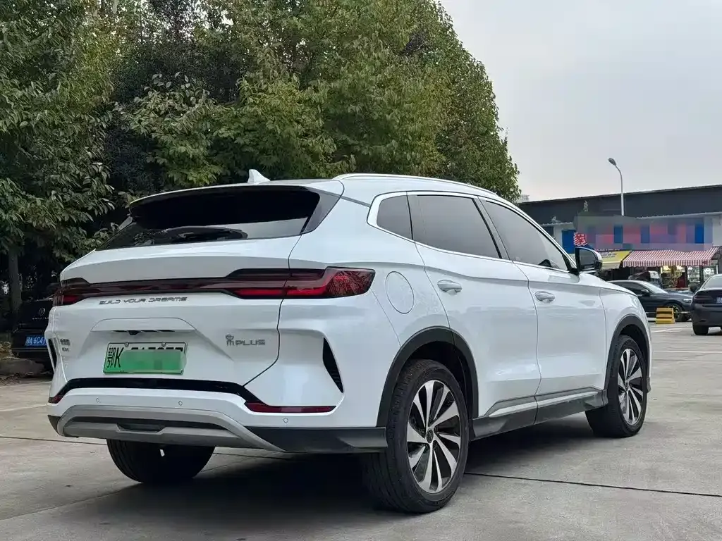 BYD PLUS New Energy 2024 из CN, фото 4