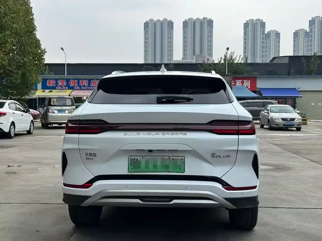 BYD PLUS New Energy 2024 из CN, фото 5