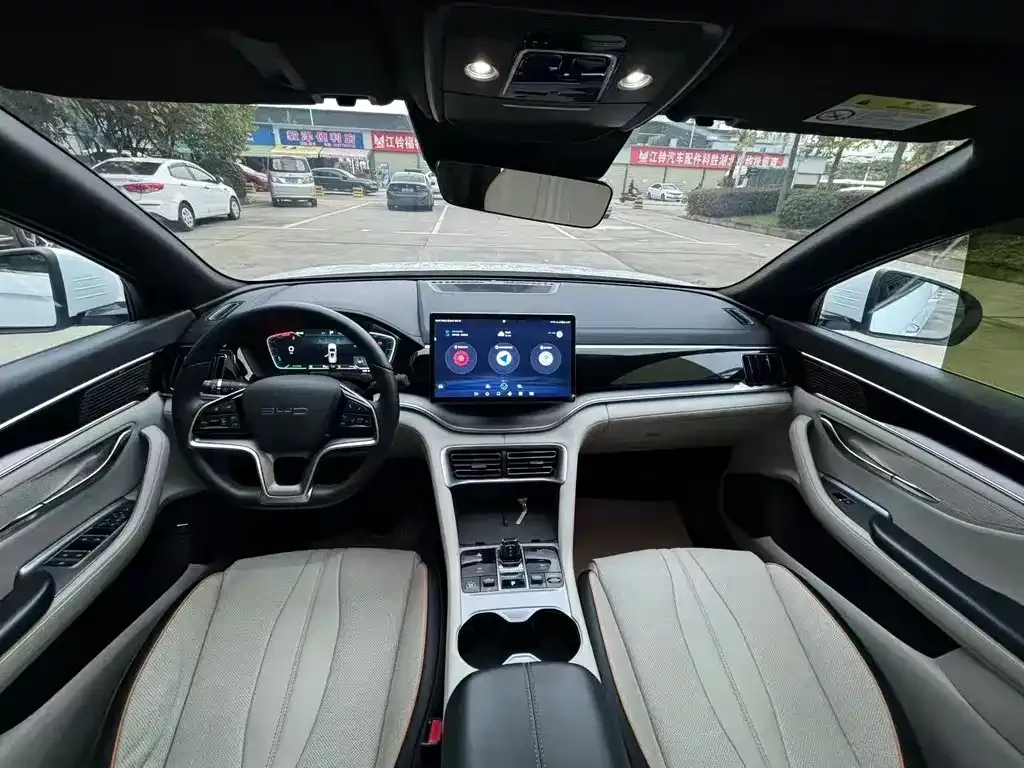 BYD PLUS New Energy 2024 из CN, фото 7