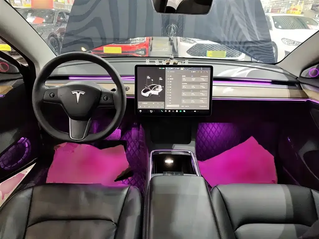 Tesla Model 3 2021 из CN, фото 9