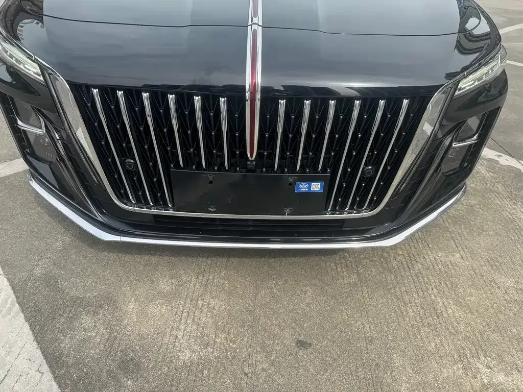 Hongqi H5 2024 из CN, фото 4