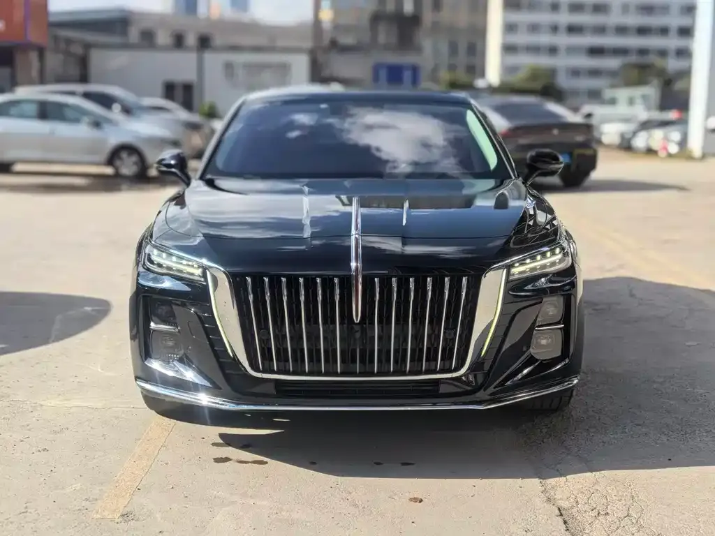 Hongqi H5 2023 из CN, фото 2