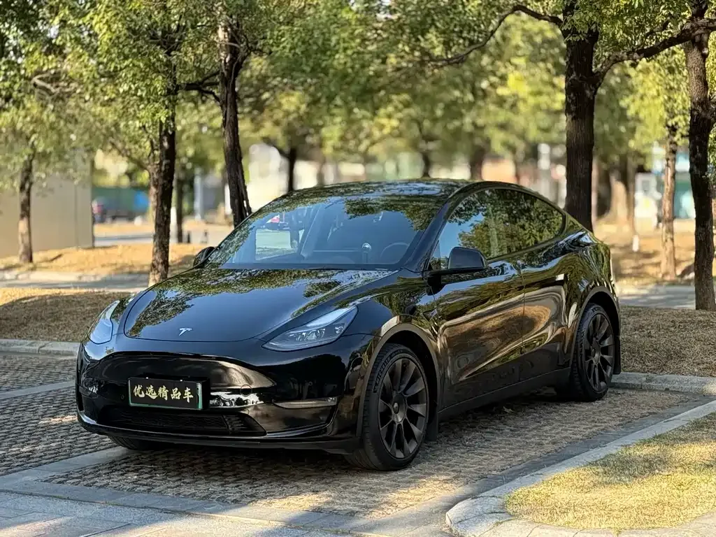 Tesla Model Y 2022 из CN, фото 1
