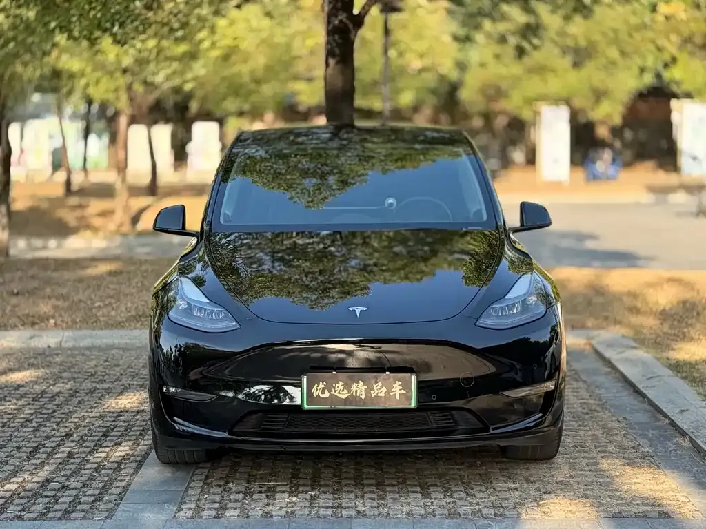 Tesla Model Y 2022 из CN, фото 2