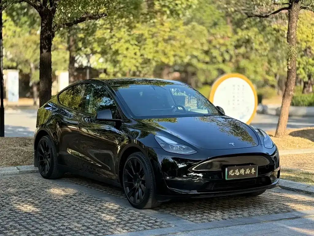 Tesla Model Y 2022 из CN, фото 3