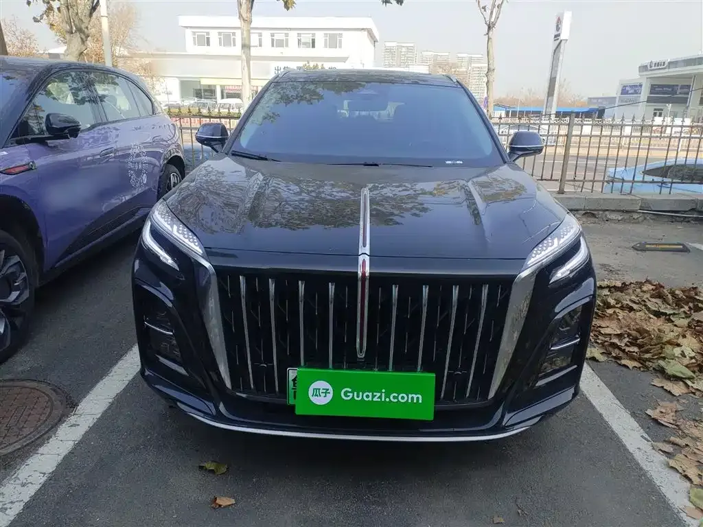 Hongqi HS3 PHEV 2025 из CN, фото 3