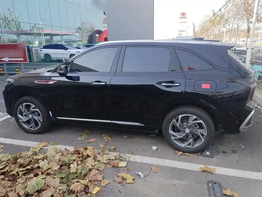 Hongqi HS3 PHEV 2025 из CN, фото 5
