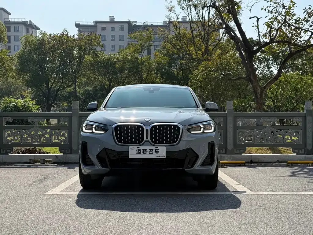 BMW X4 2023 из CN, фото 2