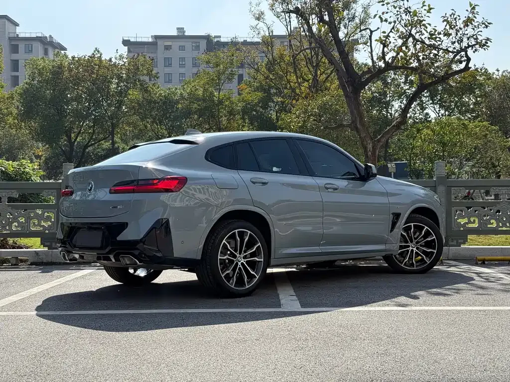 BMW X4 2023 из CN, фото 4