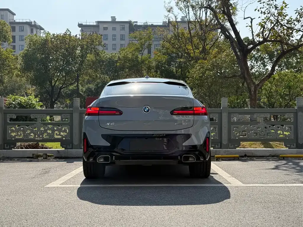 BMW X4 2023 из CN, фото 5