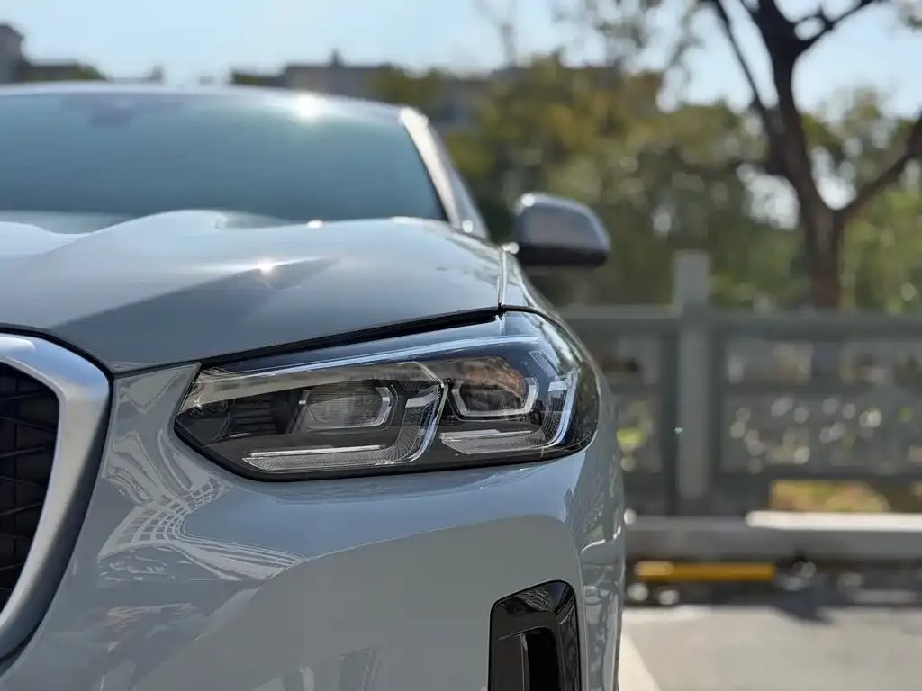 BMW X4 2023 из CN, фото 6