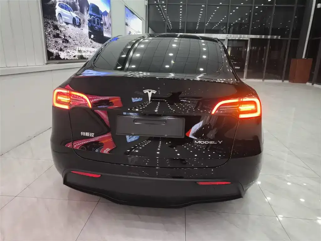 Tesla Model Y 2023 из CN, фото 6
