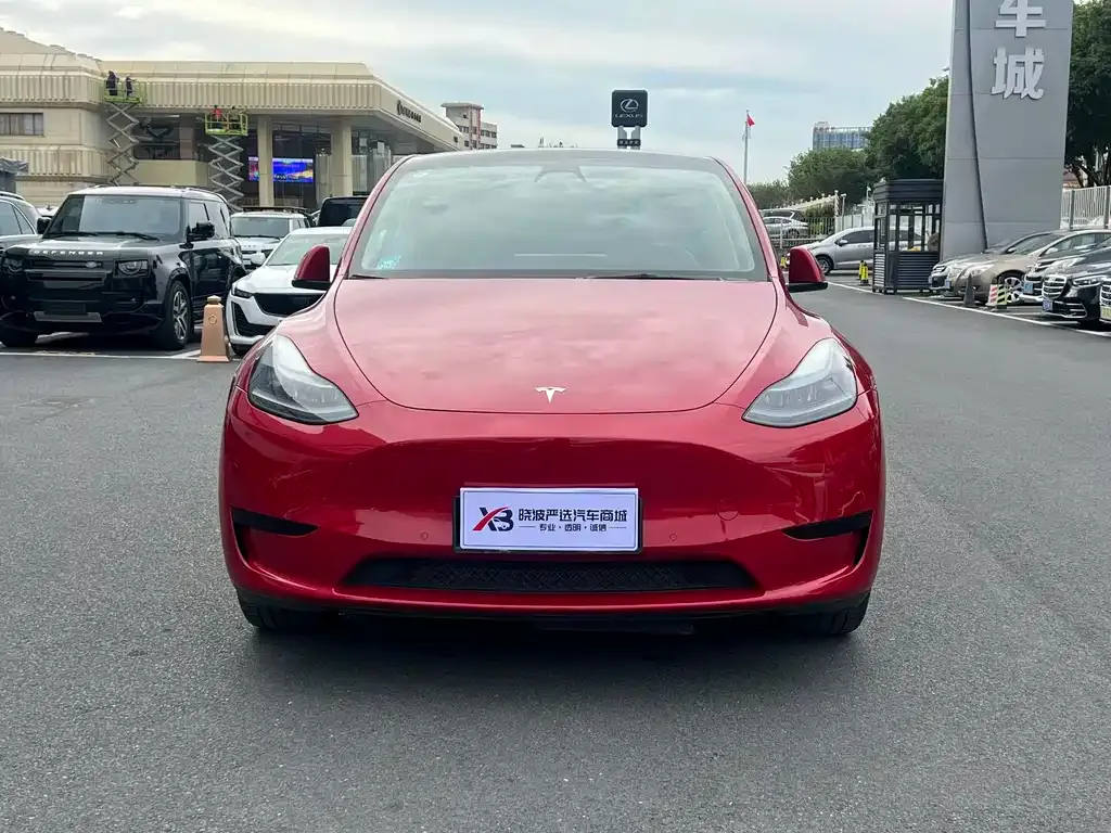 Tesla Model Y 2023 из CN, фото 2