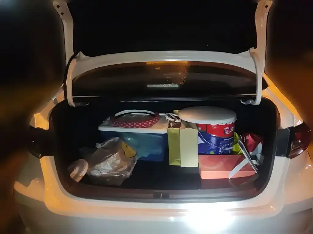Toyota Corolla 2021 из CN, фото 10