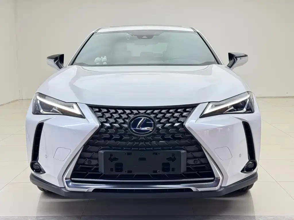 Lexus UX New Energy — фото 1