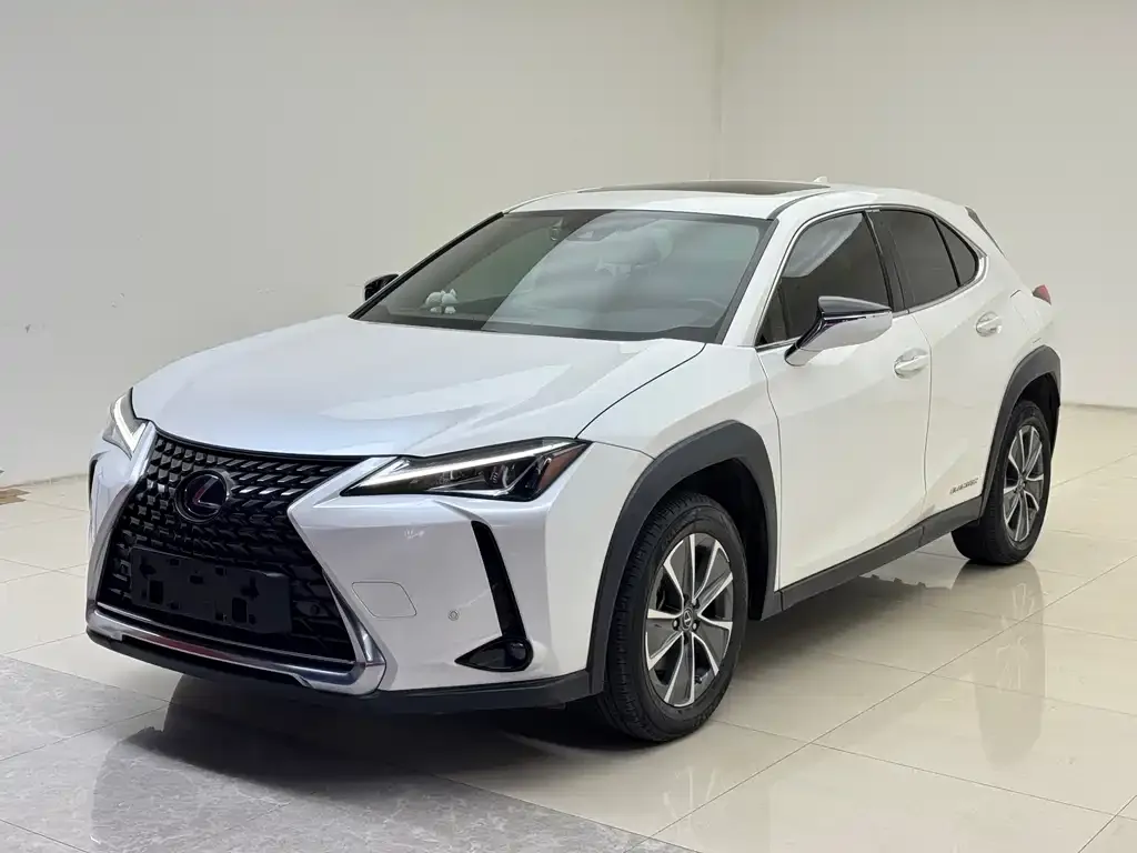 Lexus UX New Energy — фото 3
