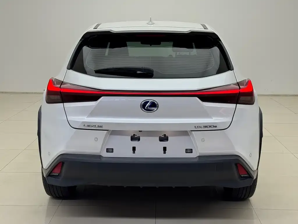 Lexus UX New Energy — фото 4